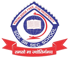 Sds Senior Secondary School, Gurgaon logo
