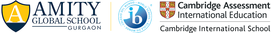 Amity Global School, Sector 46, Top IGCSE school in Gurugram.