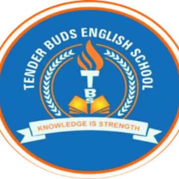 Tender Buds Nursery School,Gultekadi,one of the top school in Pune
