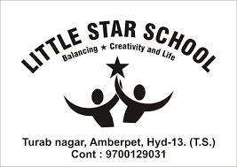 Little Star School Amberpet, Hyderabad logo