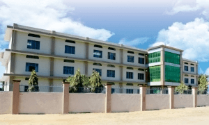 Chaudhary Chainsukh Senior Secondary School Farukhnagar, Gurgaon logo
