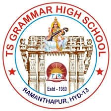 TS Grammar High School Ameerpet