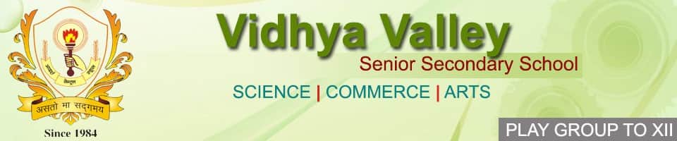 Vidhya Valley Sr. Sec. School, Jodhpur logo