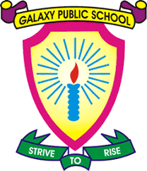 New Galaxy Public School Sector 86, Gurgaon logo