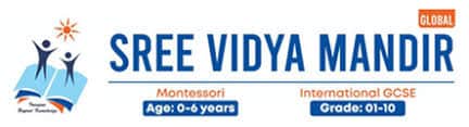 Sree Vidya Mandir Global School Perumbakkam, Chennai logo