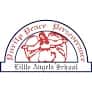 Little Angels School