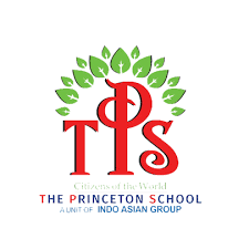 The Princeton school