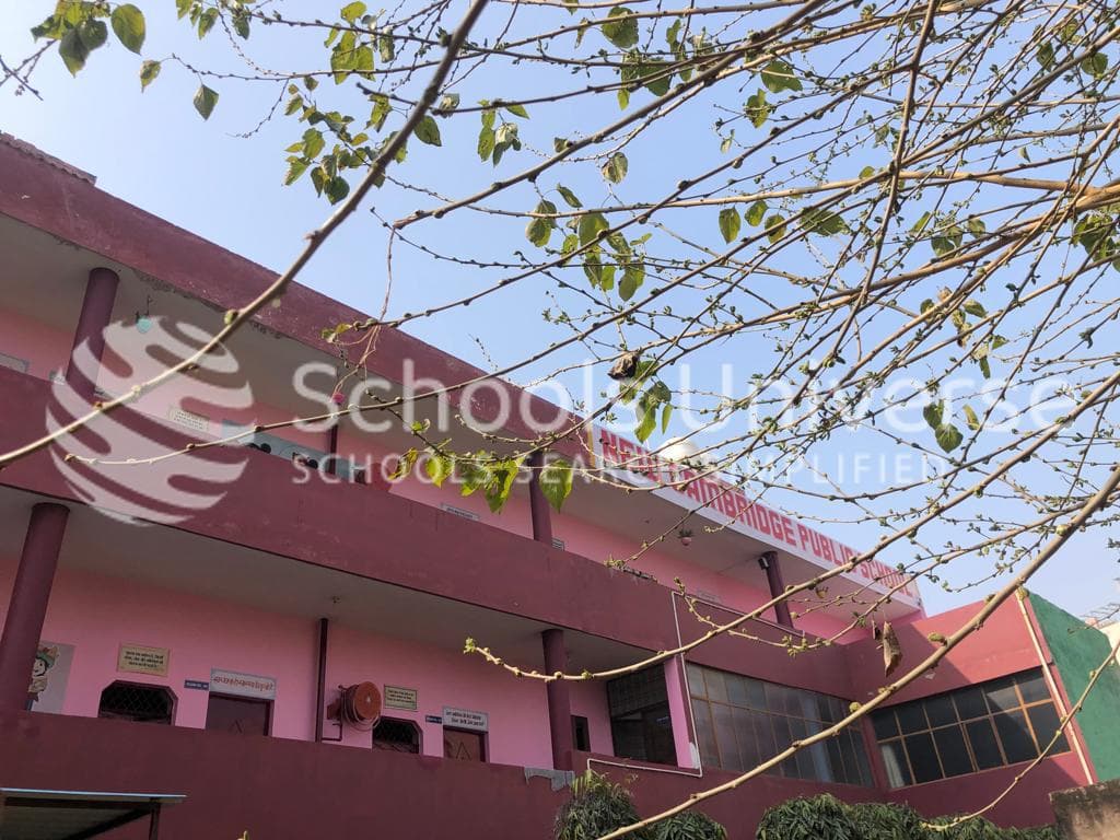 New Cambridge Public School photo 2