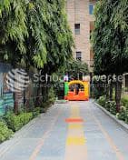 Brain Discovery photo 1