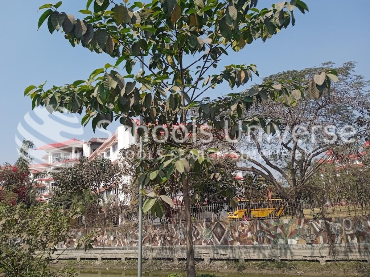 North Point Secondary Boarding School Newtown photo 4