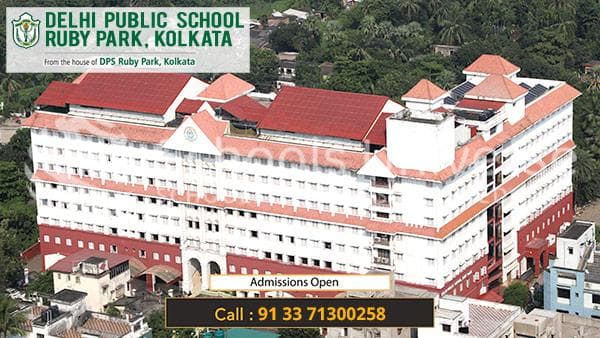 Dps Ruby Park Newtown photo 3