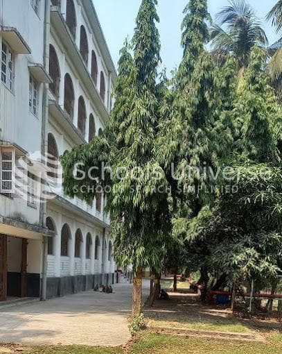 Maharshi Vidya Mandir School Garia photo 3