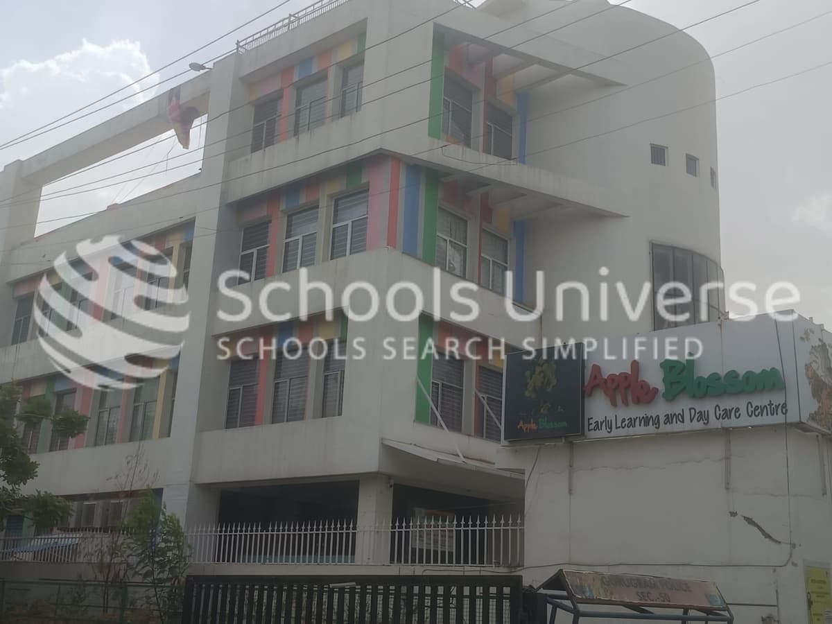 Apple Blossom School Sec 46 photo 1