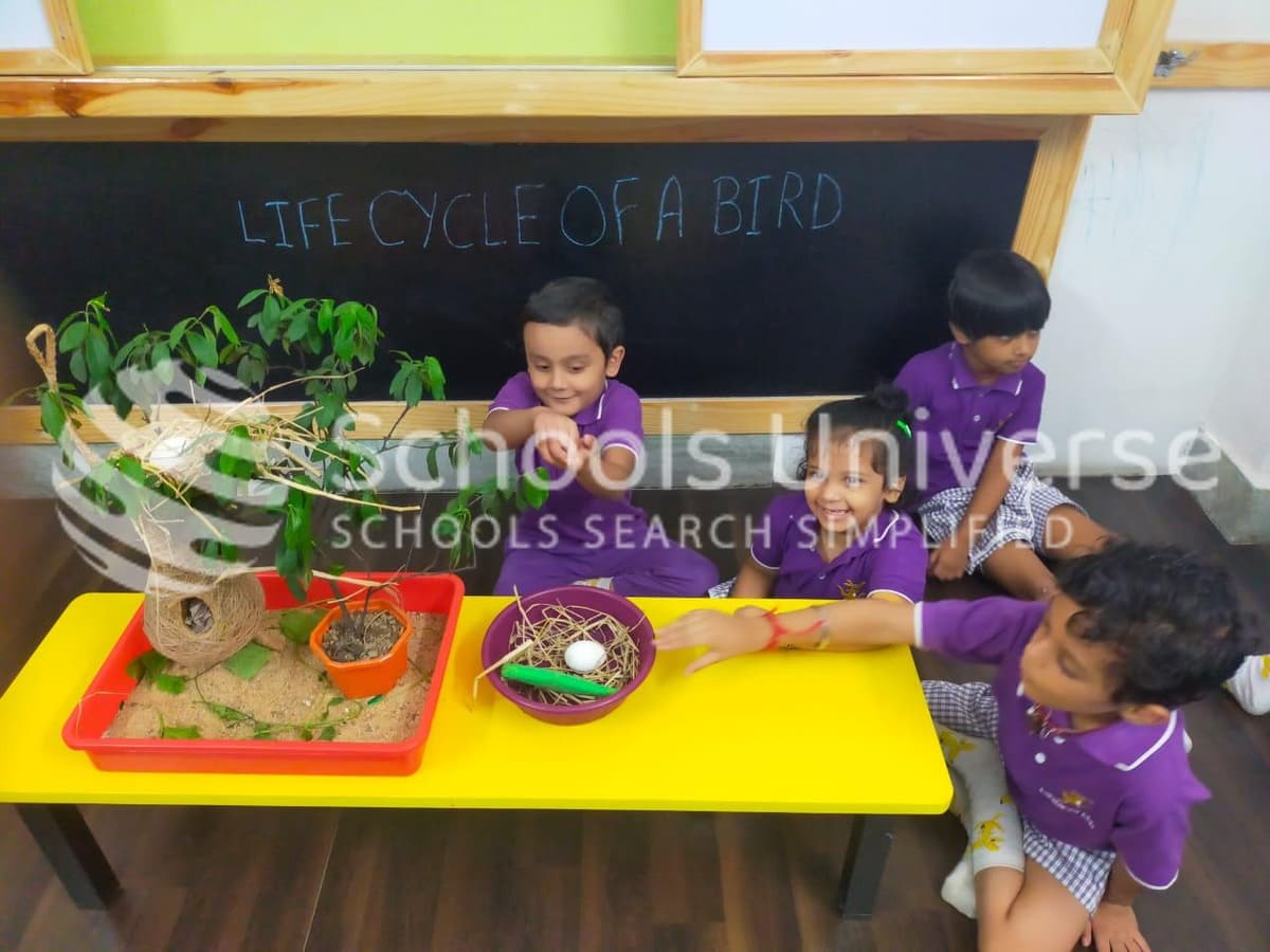 Kangaroo Kids Vip Road Kaikhali photo 2