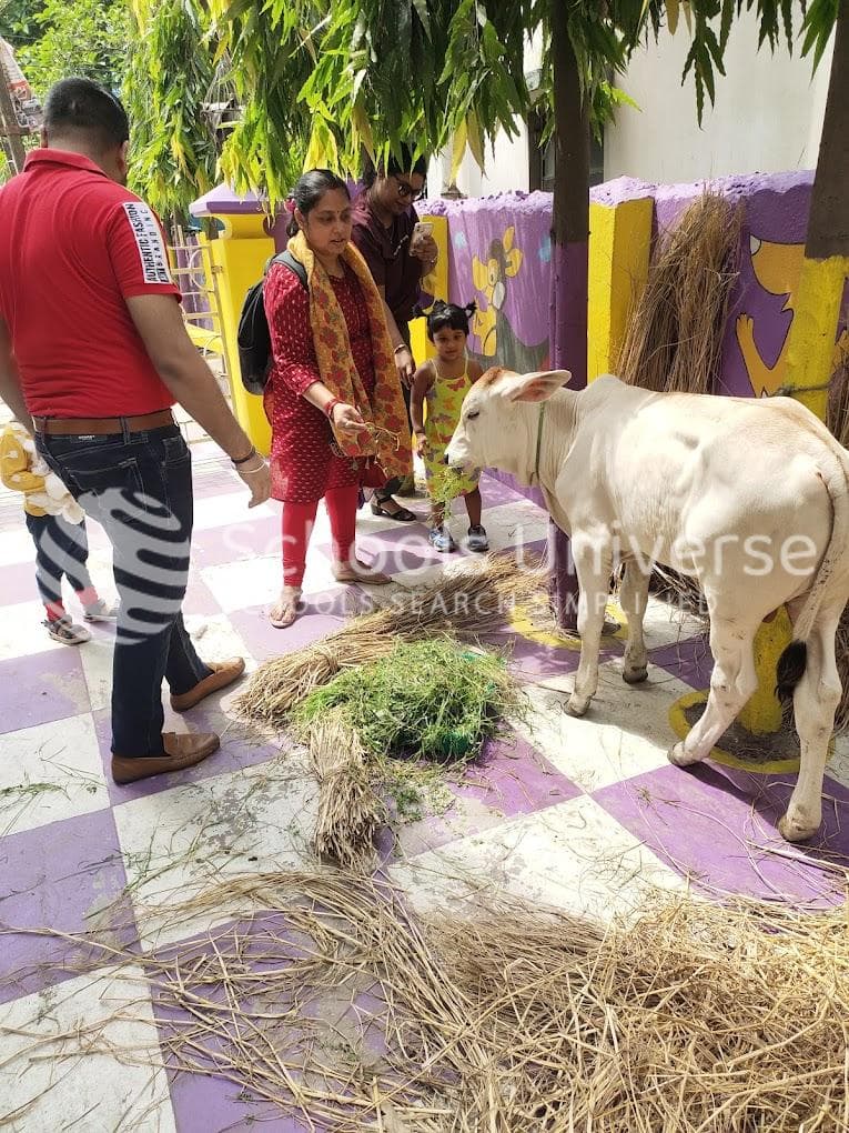 Kangaroo Kids Vip Road Kaikhali photo 3