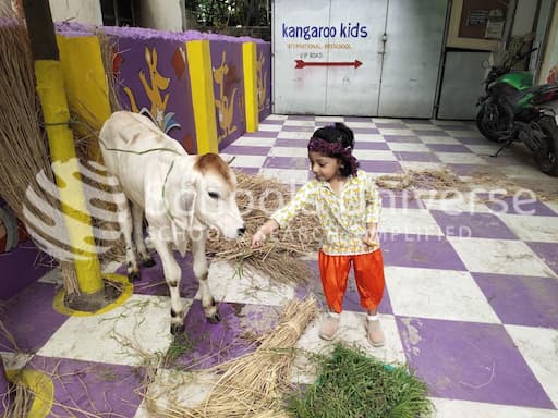 Kangaroo Kids Vip Road gallery image 1
