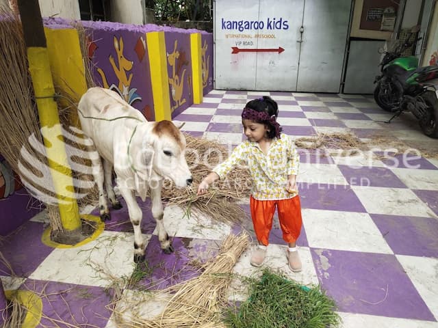Kangaroo Kids Vip Road gallery image 1