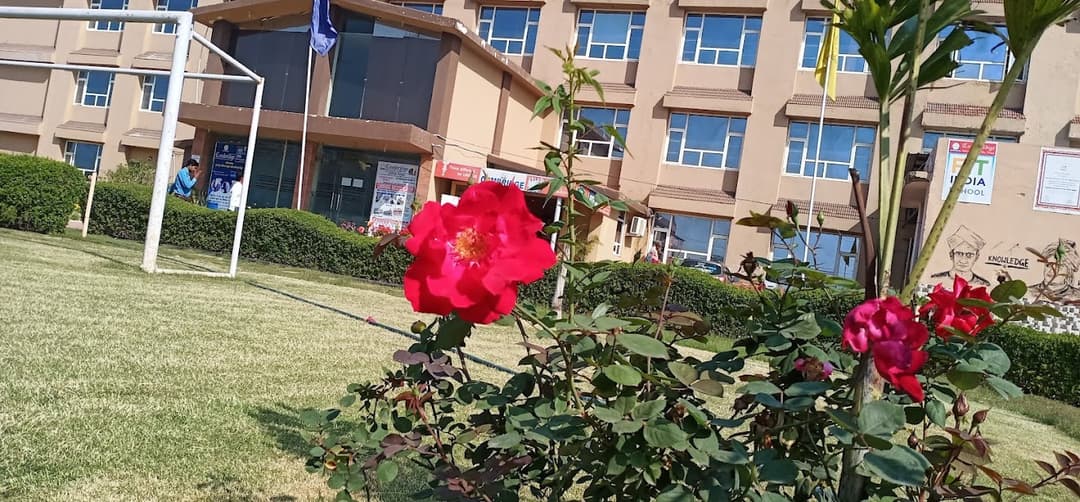 Cambridge International School Farukh Nagar photo 2