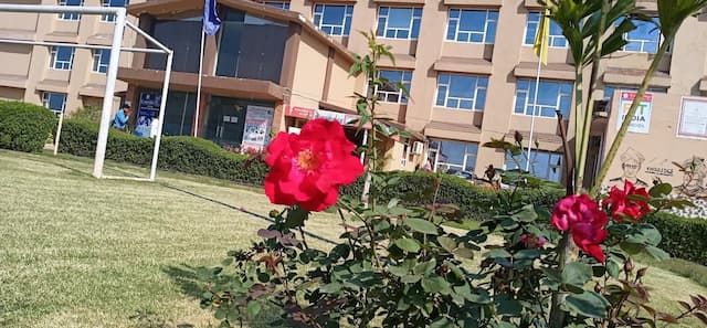 Cambridge International School gallery image 3