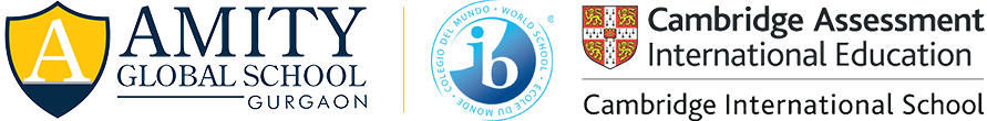 Amity Global School, Sector 46, Top IGCSE school in Gurugram.