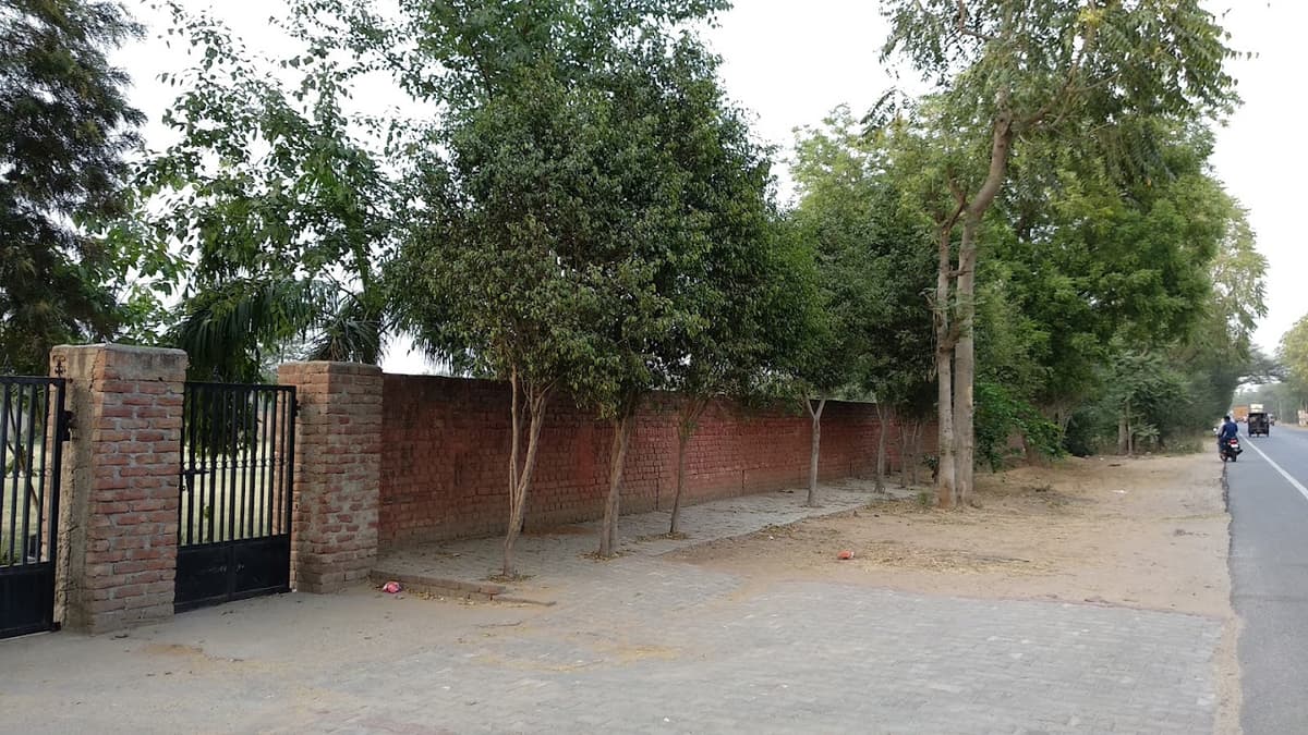 Vinay Senior Secondary School Chandu photo 3