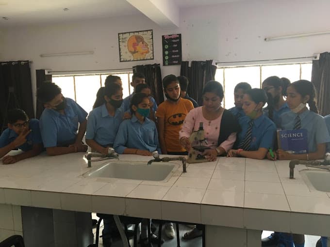 St. Soldier Public School photo 4