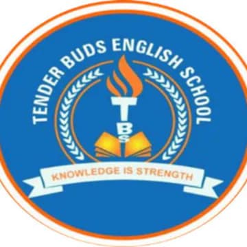Tender Buds Nursery School,Gultekadi,one of the top school in Pune