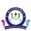 BLUEBERRY INTERNATIONAL PRESCHOOL ,Viman Nagar,one of the best pre school in Pune