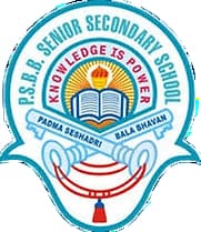 Padma Seshadri Bala Bhavan Senior Secondary School (PSBB), Chennai logo
