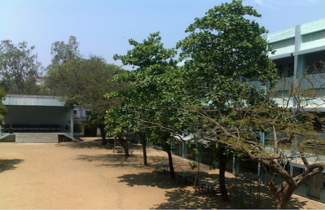 Csi Bain School gallery image 5