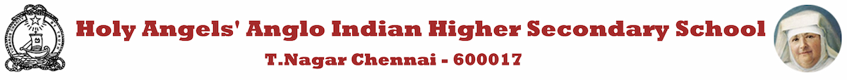 Holy Angels Anglo Indian Higher Secondary School, Chennai logo