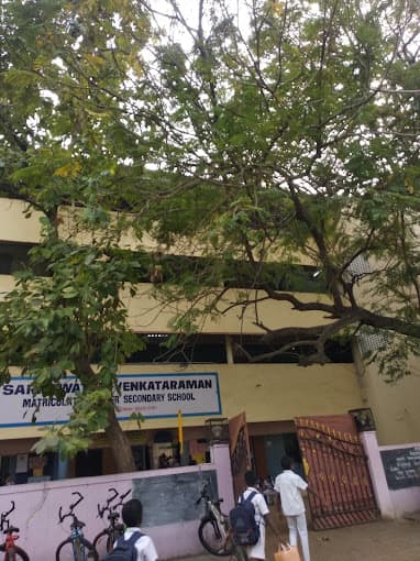 Saraswathy Venkataraman gallery image 4
