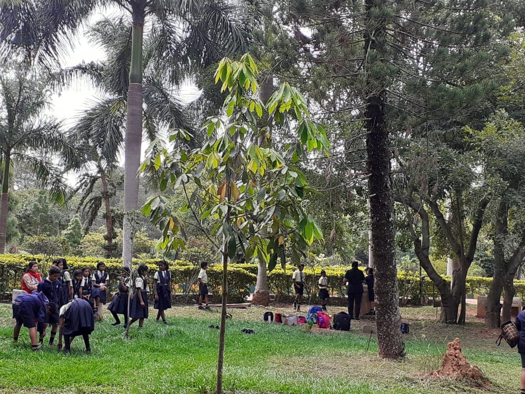 Mother Teresa Public School Jalahalli photo 8