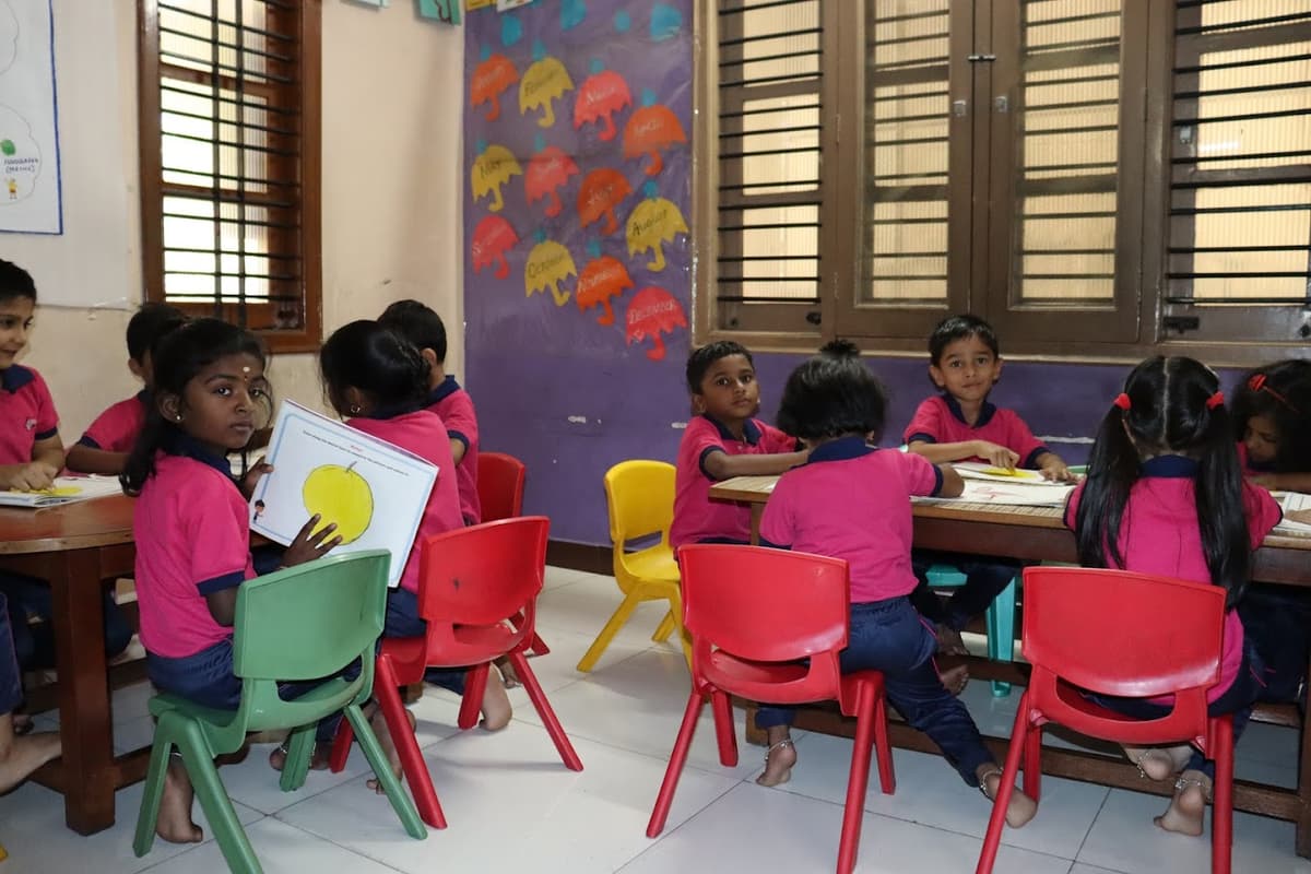 Butter Fly Wings And High School photo 1