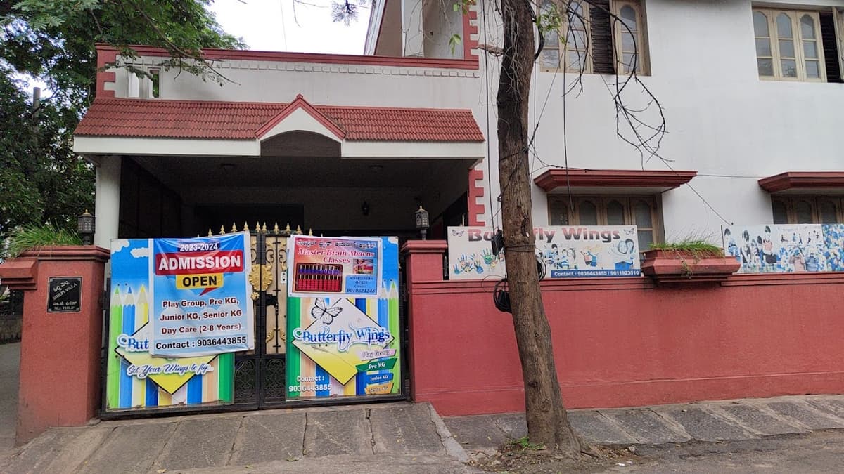 Butter Fly Wings And High School photo 2