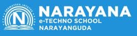 Narayana High School Narayanaguda, Hyderabad logo