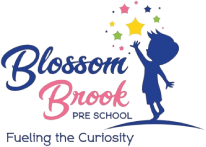 Blossom Pre School Machabollarum, Hyderabad logo