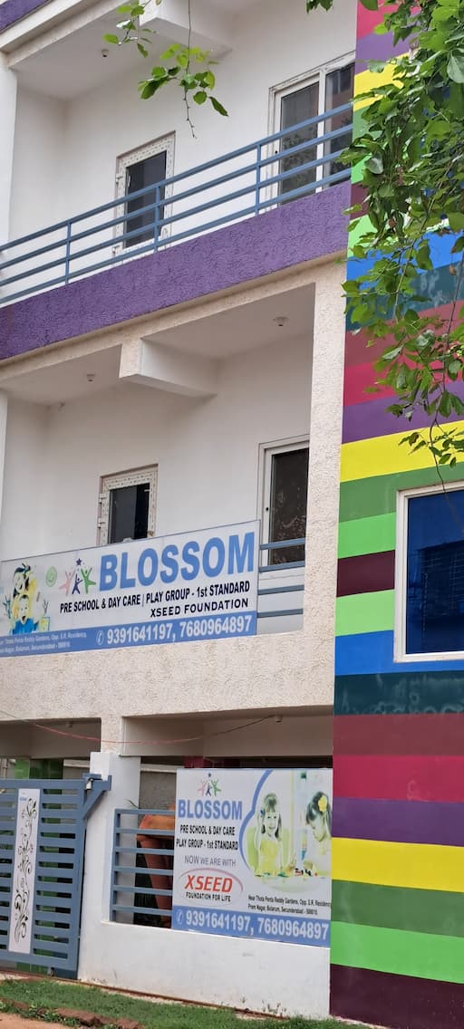 Blossom Pre School gallery image 4