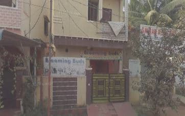 Blooming Buds Bolarum photo 1