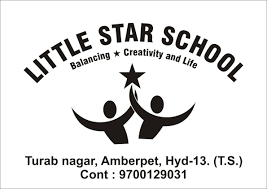 Little Star School, Hyderabad logo
