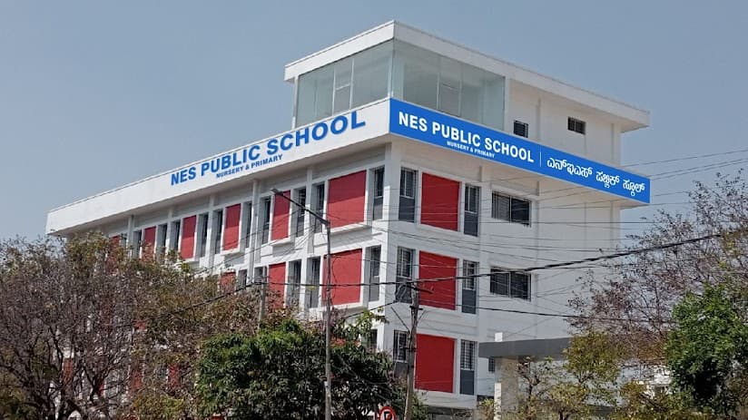 N E S Public School photo 1