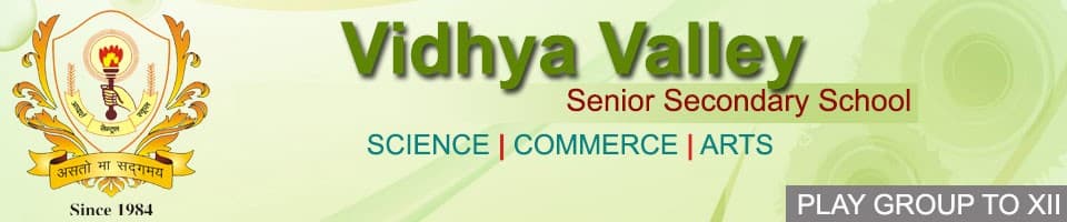 Vidhya Valley Sr. Sec. School, Jodhpur logo