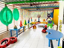 Covo Del Bambino Sionwest photo 1