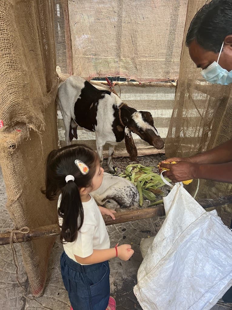 Kids Concept Khar West photo 2