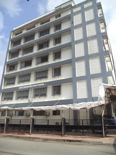 Rizvi Springfield High School photo 1