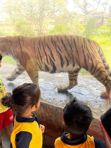 Kreative Starz - Preschool & Daycare gallery image 4