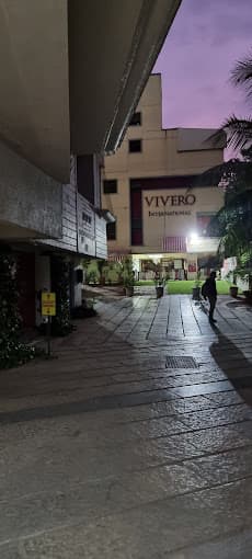 Vivero International Preschool & Child Care photo 9