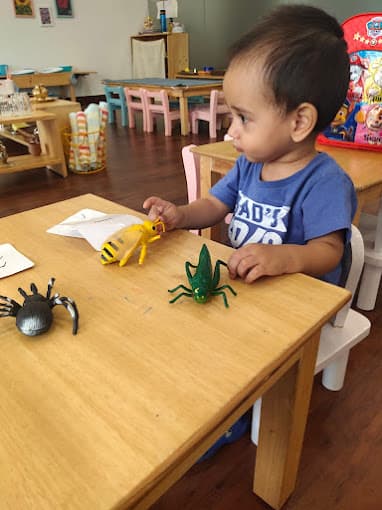 Downtown Dumplings Montessori photo 7