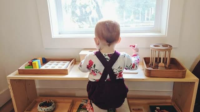 Downtown Dumplings Montessori photo 4