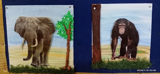 Young phoenix international pre school photo 6